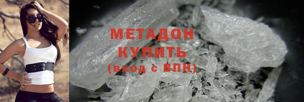 хмурый Аркадак