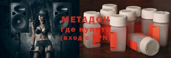 хмурый Аркадак