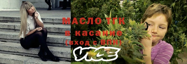 хмурый Аркадак