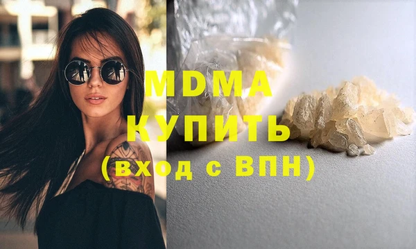 хмурый Аркадак