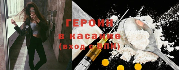 хмурый Аркадак