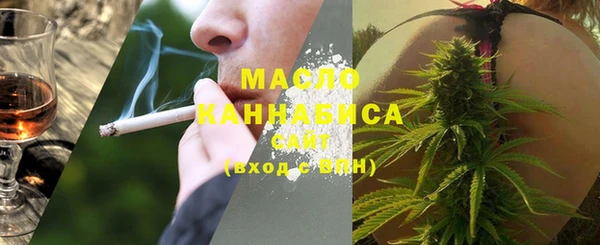 хмурый Аркадак